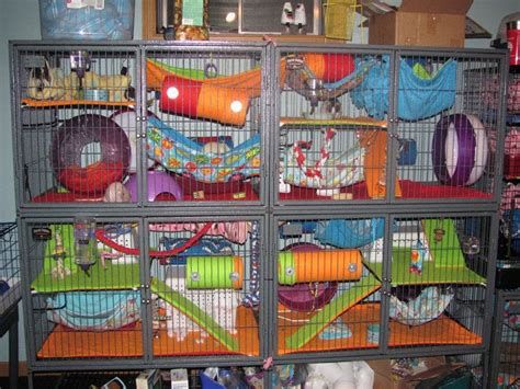 double wide ferret nation cage  pet accessory construction  cut