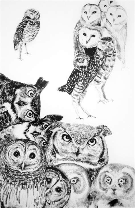 owls erotic art owl owl art