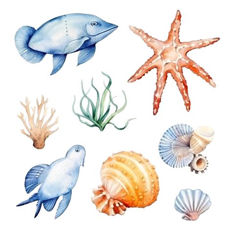 Watercolor Sea Life Watercolor Hand Draw Png Transparent Image And