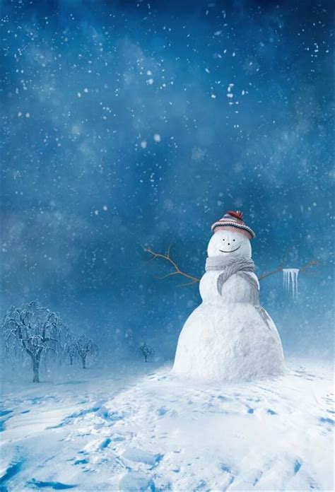 Laeacco Winter Snow Snowman Scene Children Photography Backgrounds