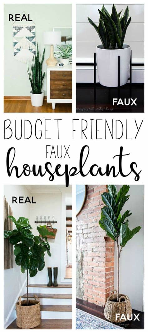We simplified the process and picked the best places to buy furniture based on budget, style, and more. Where to Buy Budget Friendly Faux Houseplants | House ...