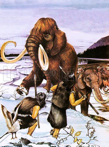 Prehistoric Men Hunting Woolly Mammoths Stock Image Look And Learn