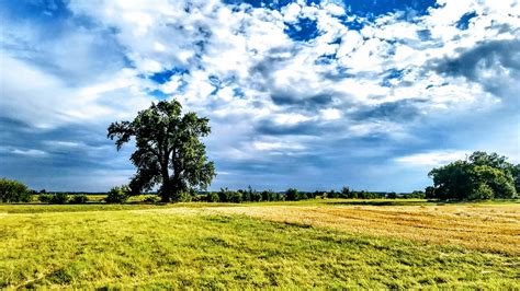 Free Images Agriculture Clouds Countryside Cropland Daylight