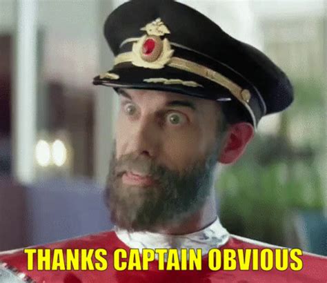 Thanks Captain Obvious Meme