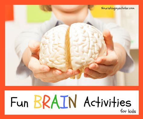 Fun Brain Activities For Kids ~ Nourishing My Scholar
