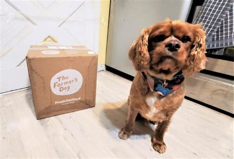 I've recently switched my dog to thefarmersdog and wanted to see what others' experiences are. Unbiased The Farmer's Dog Food Review 2020 - We're All ...