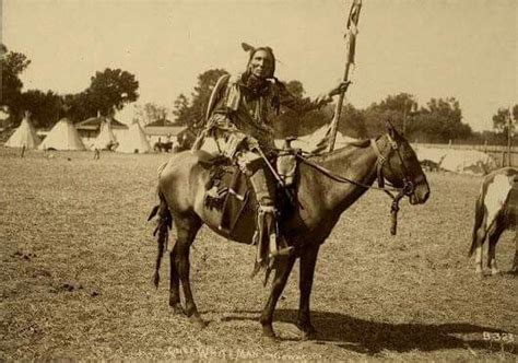 Chief White Mankiowaapache Native North America Aboriginal