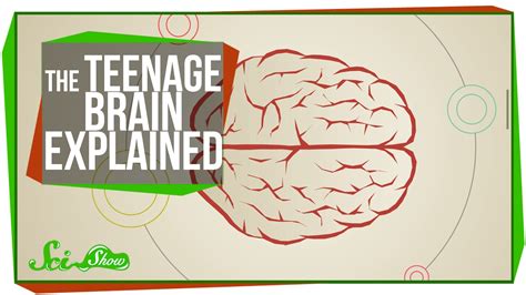 The Teenage Brain Explained Kidpid