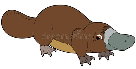 Cartoon Animal Platypus Illustration For The Children