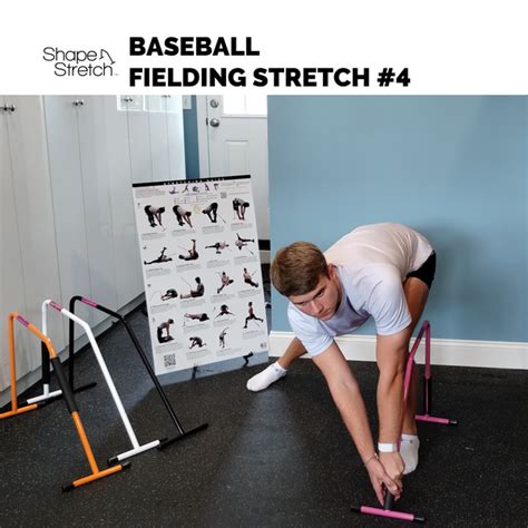 Baseball Stretches Shapestretch