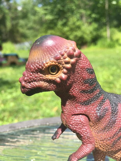 Tycopachycephalosaurus4 Dinosaur Toy Blog