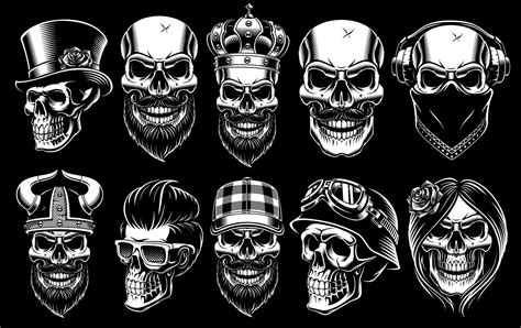 Set Of Different Skulls 539059 Vector Art At Vecteezy