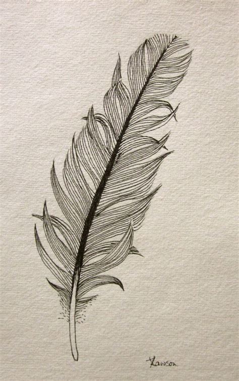 Feather Drawing Pencil Sketch Colorful Realistic Art Images