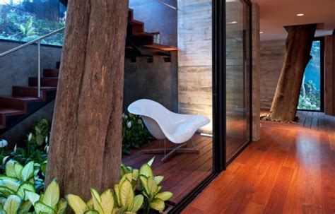 Trees Pass Through The Interior Of Paz Arquitecturas Casa Corallo In