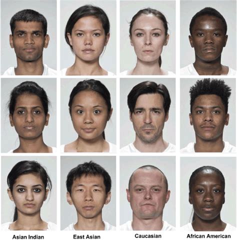 Illustrative Genetic Variance Distribution Of Human Races Source