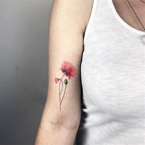 60 Beautiful Poppy Tattoo Designs And Meanings Tattooadore