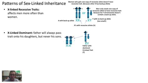 Sex Linked Vs Autosomal Traits Youtube