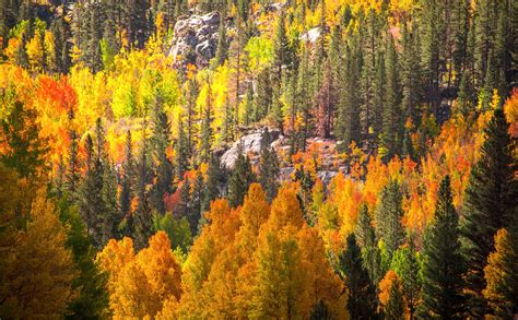 Bishop Creek Epic Autumn Colors Fine Art Landscape Photogr Flickr