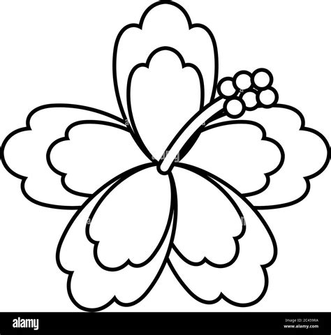 Top 100 Dibujos De Flores Hawaianas Para Colorear Anmbmx