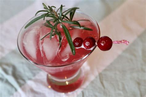 Gin And Cranberry Juice Cocktail Drink Recipe Dobbernationloves