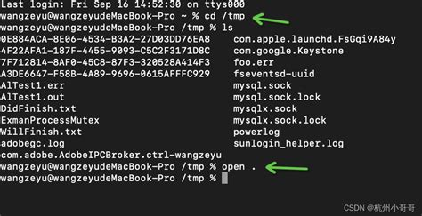 Error Hy Cant Connect To Local Mysql Server Through Socket