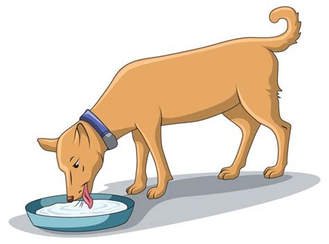 Animal Drinking Water Clipart