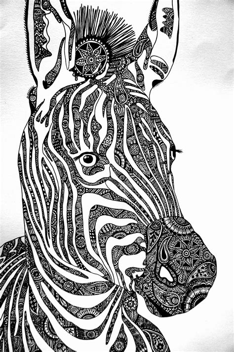 TwΛllΛЯt Zebra Art Zentangle Drawings Zentangle Art