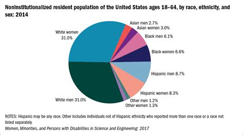 Main Ethnic Groups In America