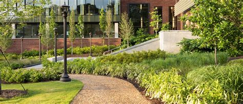 College Landscaping Maintenance Campus Landscape Management Brightview