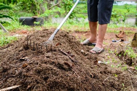 Prepare Soil For Gardening 5 Steps In Land Preparation