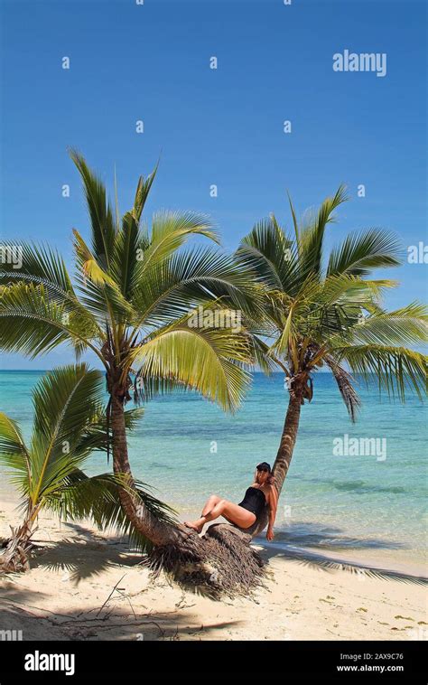 Fiji Woman Relaxing On Palm Trunk Preferred Place For Vacation And