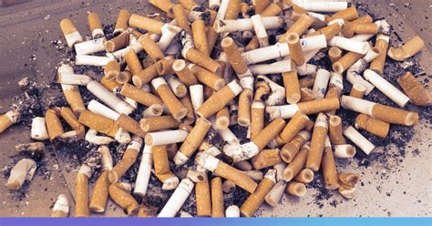 Vitamin e acetate is a thickening agent often used in thc vaping products, and it was found in all lung fluid samples of evali patients examined by the cdc. Researchers Detail How Cigarette Butts Can Be Recycled ...