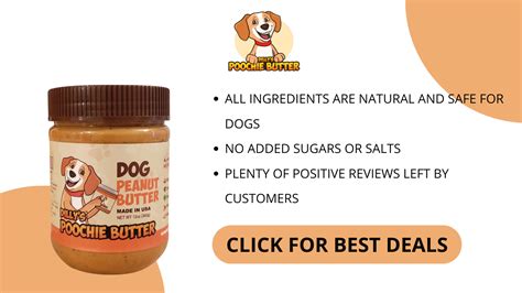 7 Healthiest Peanut Butters For Dogs In 2023