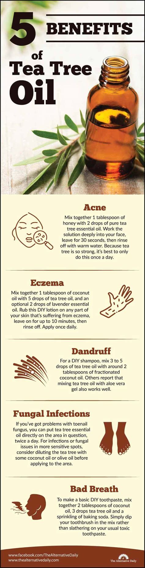 I'll explain the difference between tea. 5 Must-Know Benefits Of Tea Tree Oil (And How To Use It)