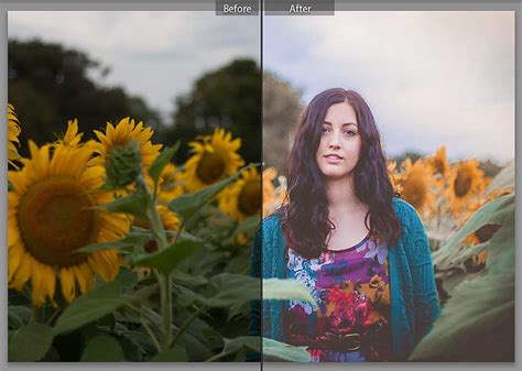 Lightroom presets are completely editable and flexible. Autumn Fields | FREE Preset Download for Lightroom ...