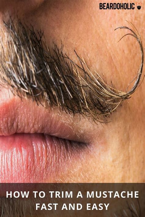 How To Trim A Mustache Fast And Easy Beardoholic Mustache Grooming