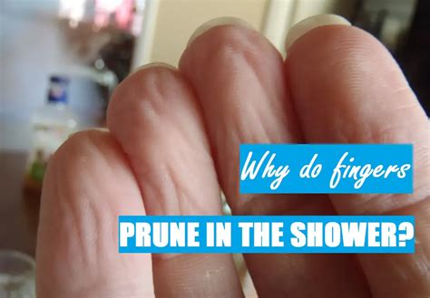 Why Do Fingers Prune In The Shower And Bath Shower Maestro