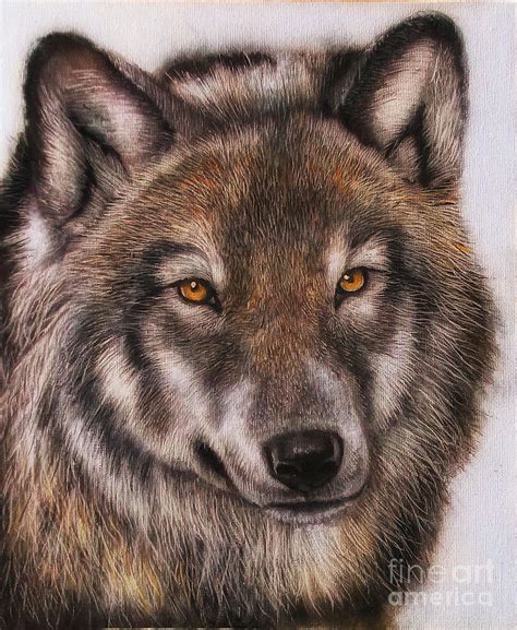 Timber Wolf Painting By Adrian Jones Fine Art America