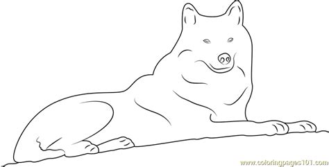 And you can freely use images for your personal blog! Arctic Wolf Coloring Page - Free Wolf Coloring Pages : ColoringPages101.com