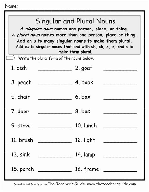 50 Singular And Plural Nouns Worksheet