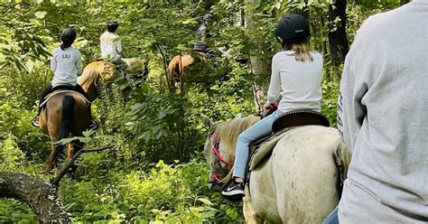 Guided Horseback Trail Rides Now Available At Forest Trails Stables