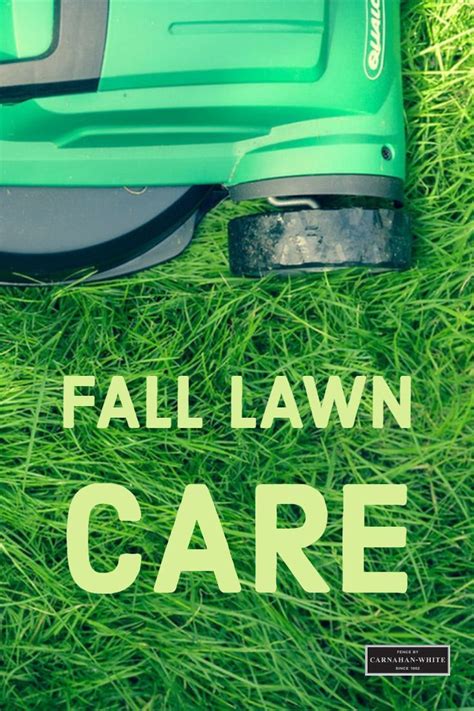 Have You Prepared Your Lawn For Fall Check Out These Awesome Fall Lawn