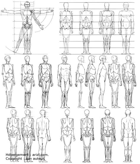 Apprendre Dessiner Corps Humain Personnage Human Anatomy Drawing