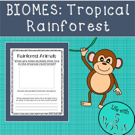 Tropical Rainforest Biome Animals List