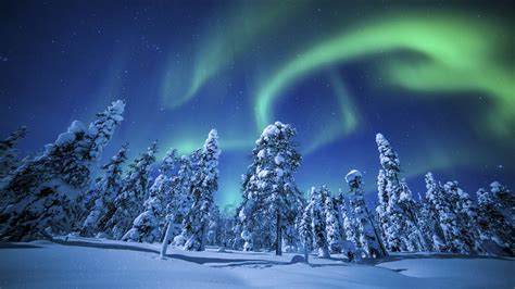 Free Download Northern Lights Aurora Borealis Over Winter Forest Uhd