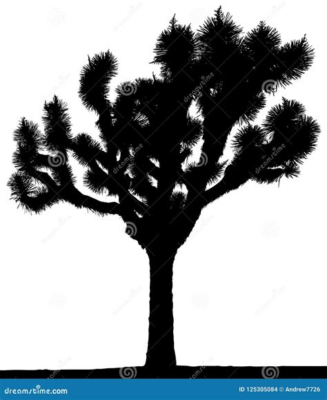 A Silhouette Of A Joshua Tree In Black And White Stock Illustration