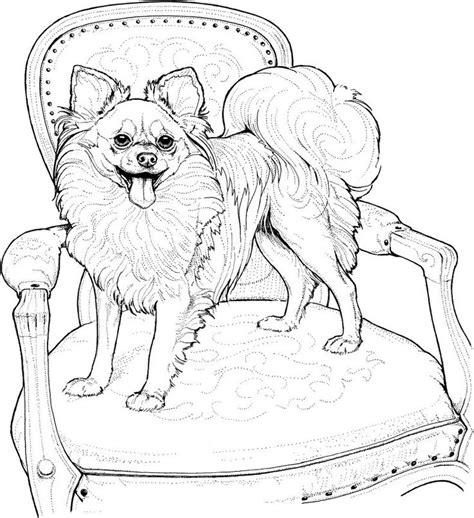 Dog Coloring Pages Free for Kids and Adults | 101 Coloring | Dog