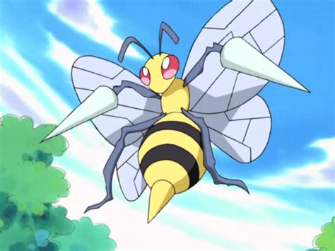 Jimmys Beedrill Pokémon Wiki Fandom Powered By Wikia