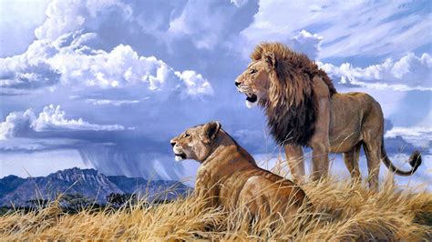 Pride Art Lion Animals Ultra 3840x2160 Hd Wallpaper