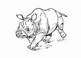 Coloring Rhinoceros Running Line Drawing Pages Kids Printable Getdrawings sketch template